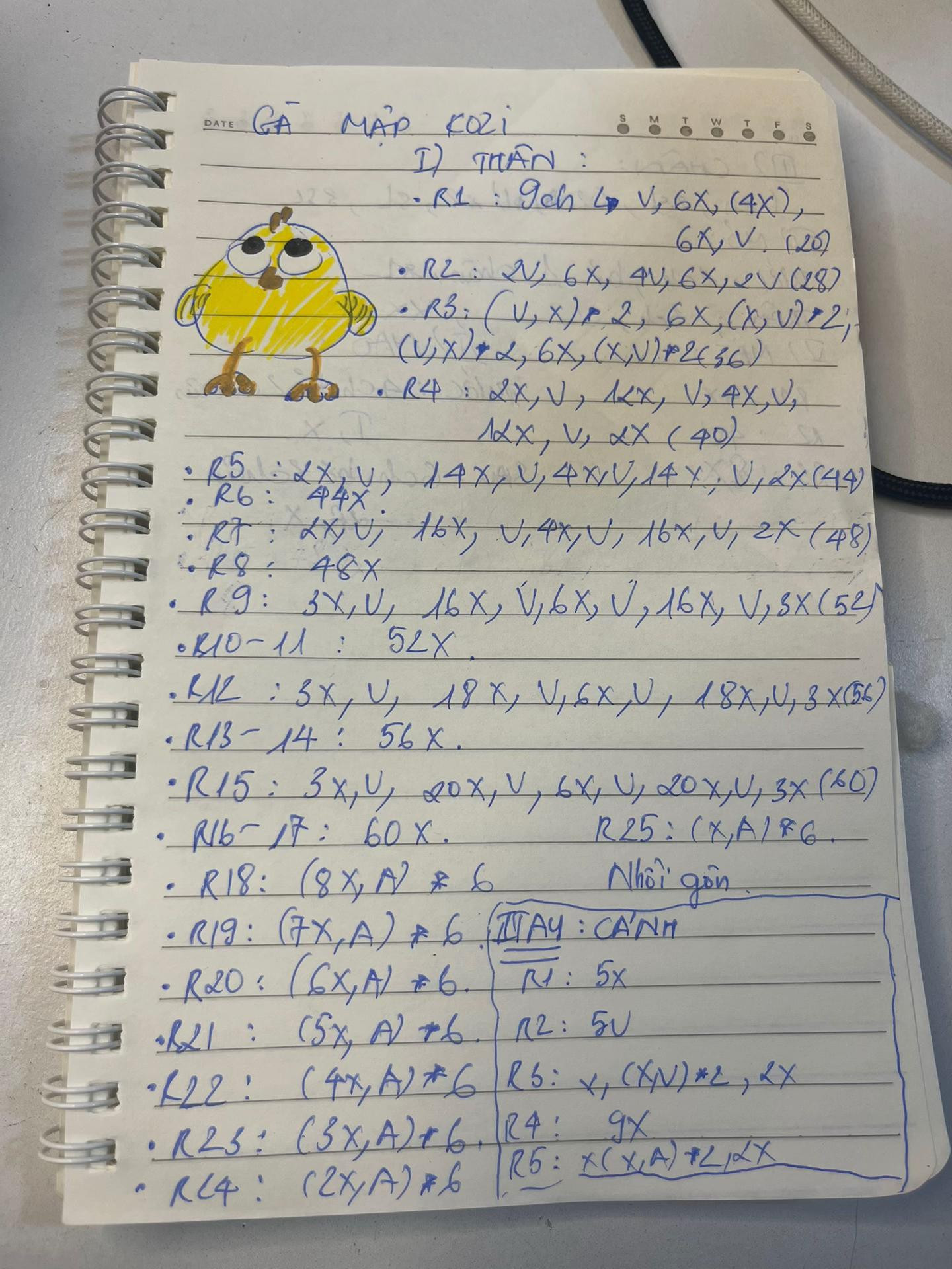 gà mập ko2i