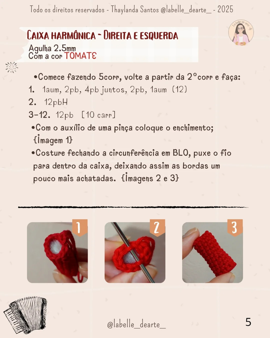 "Gráficos de Crochê de Sanfona e Fogueira: Arte Detalhada e Colorida"
