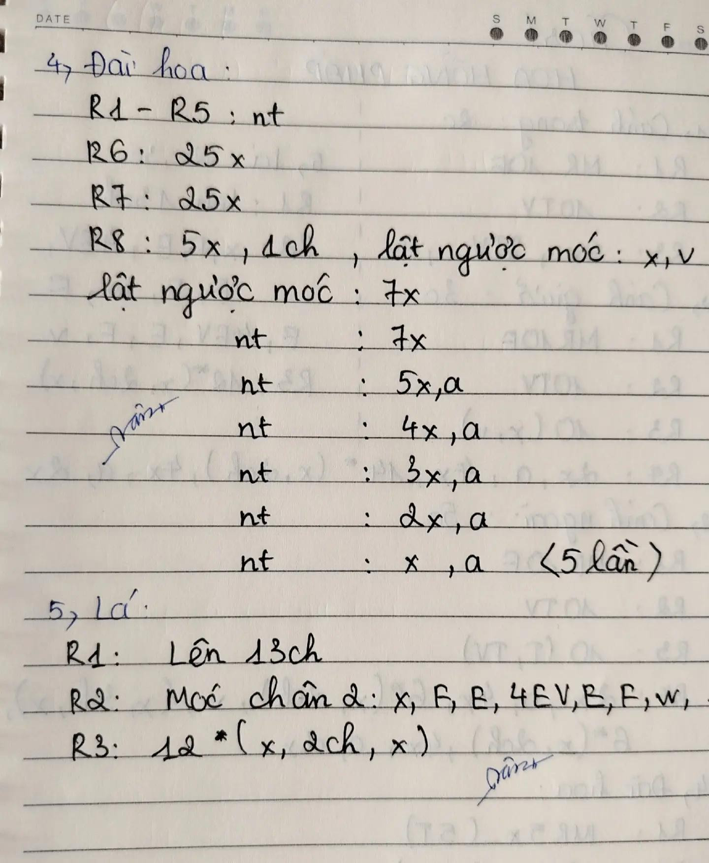 Hoa Hồng Khổng Lồ 🌹