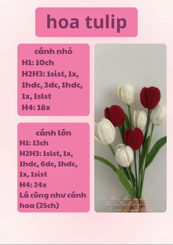 Hoa lưu ly, hoa hồng, hoa cúc, hoa hướng dương, hoa tulip