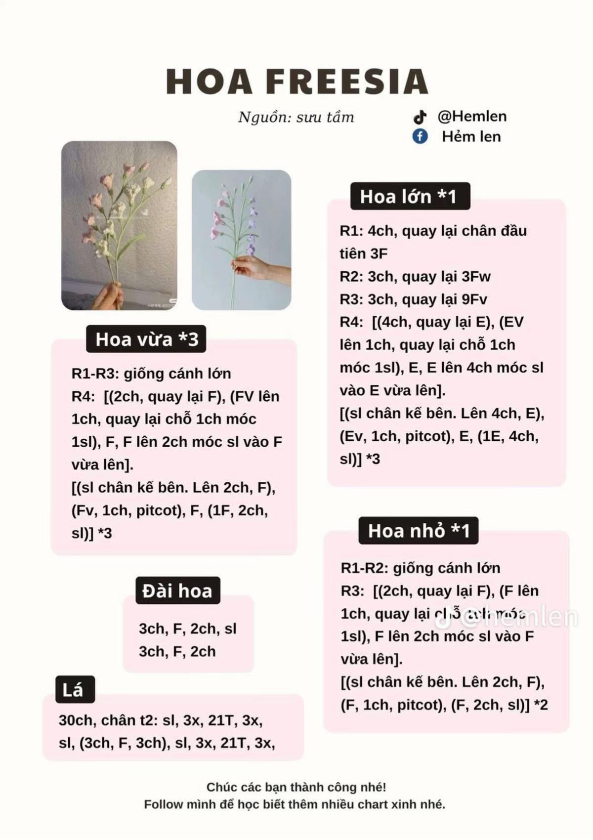 Hoa mẫu đơn cánh bướm, hoa freesia,