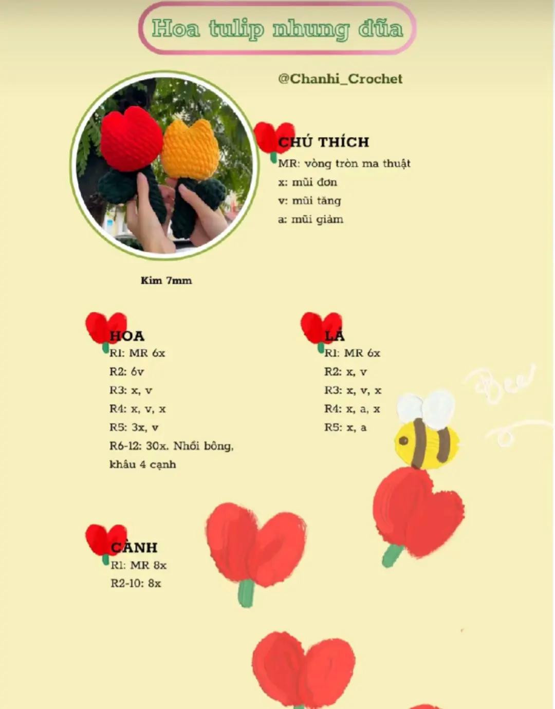 hoa tulip nhung đũa
