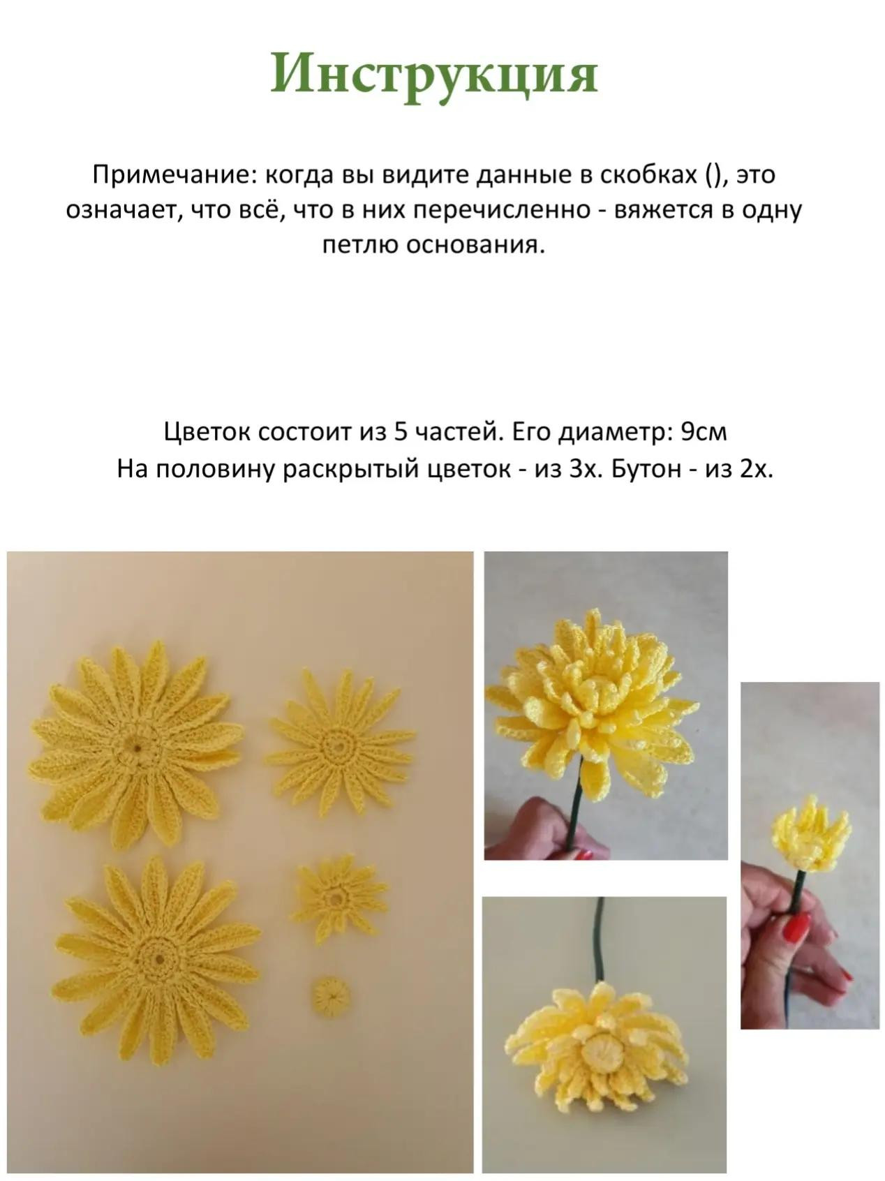 Хризантемы крючком: подробная схема и инструкция для начинающих