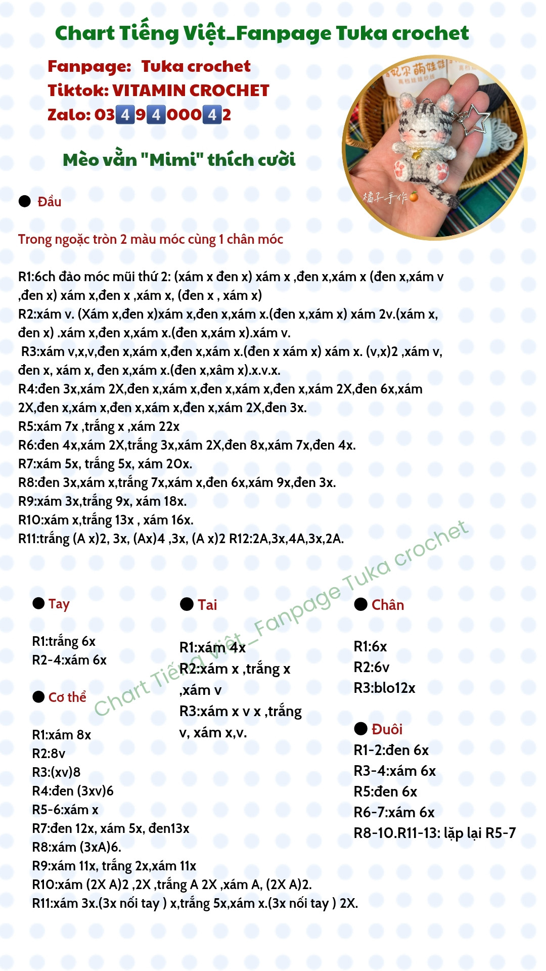 mèo vằn mimi thích cười
