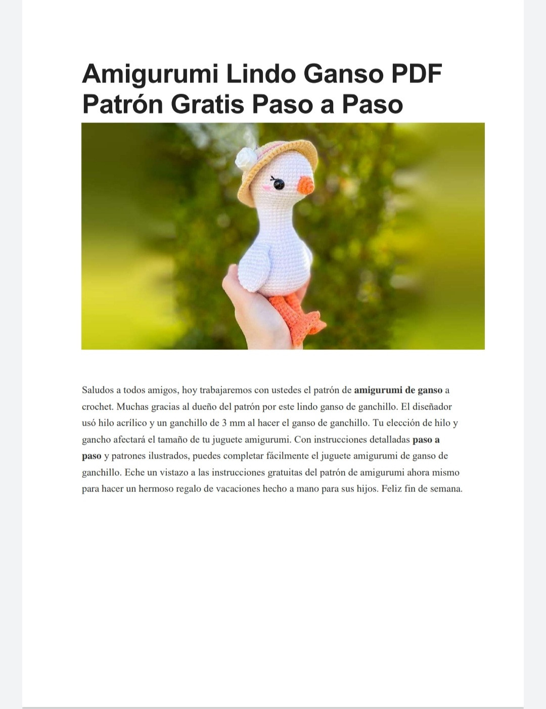 Patrón de Amigurumi: Ganso con Sombrero Elegante