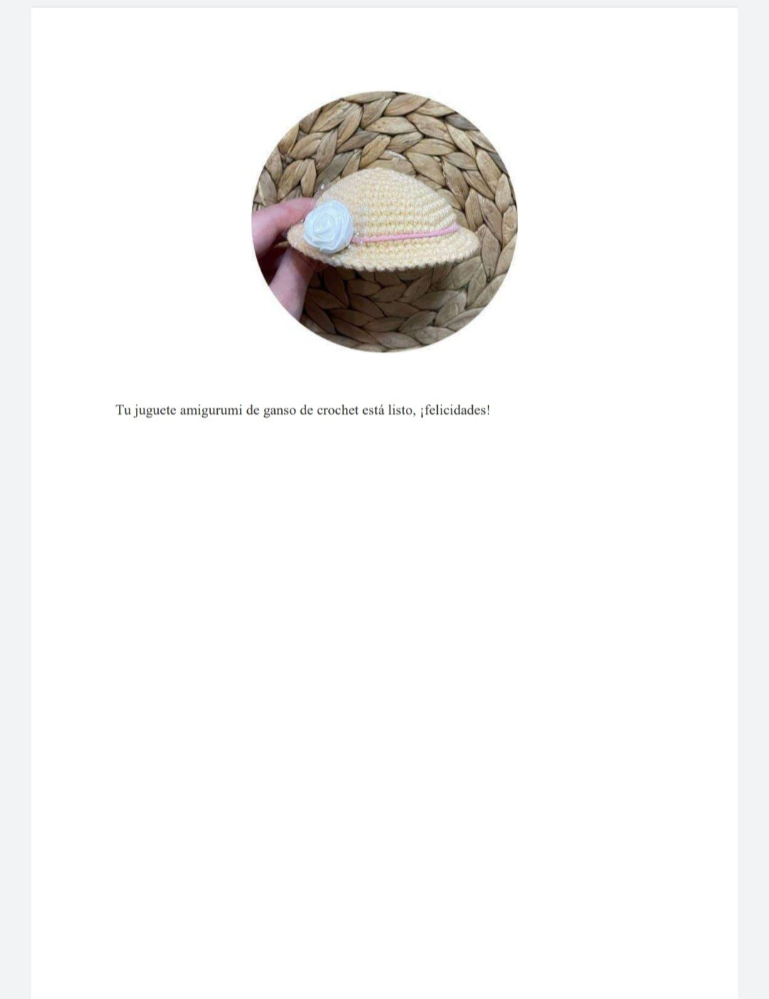 Patrón de Amigurumi: Ganso con Sombrero Elegante