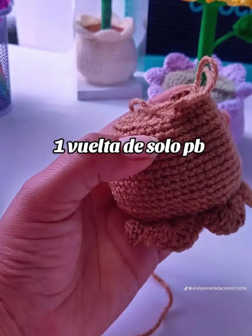 Patrón de crochet para maceta con flor colorida y vibrante