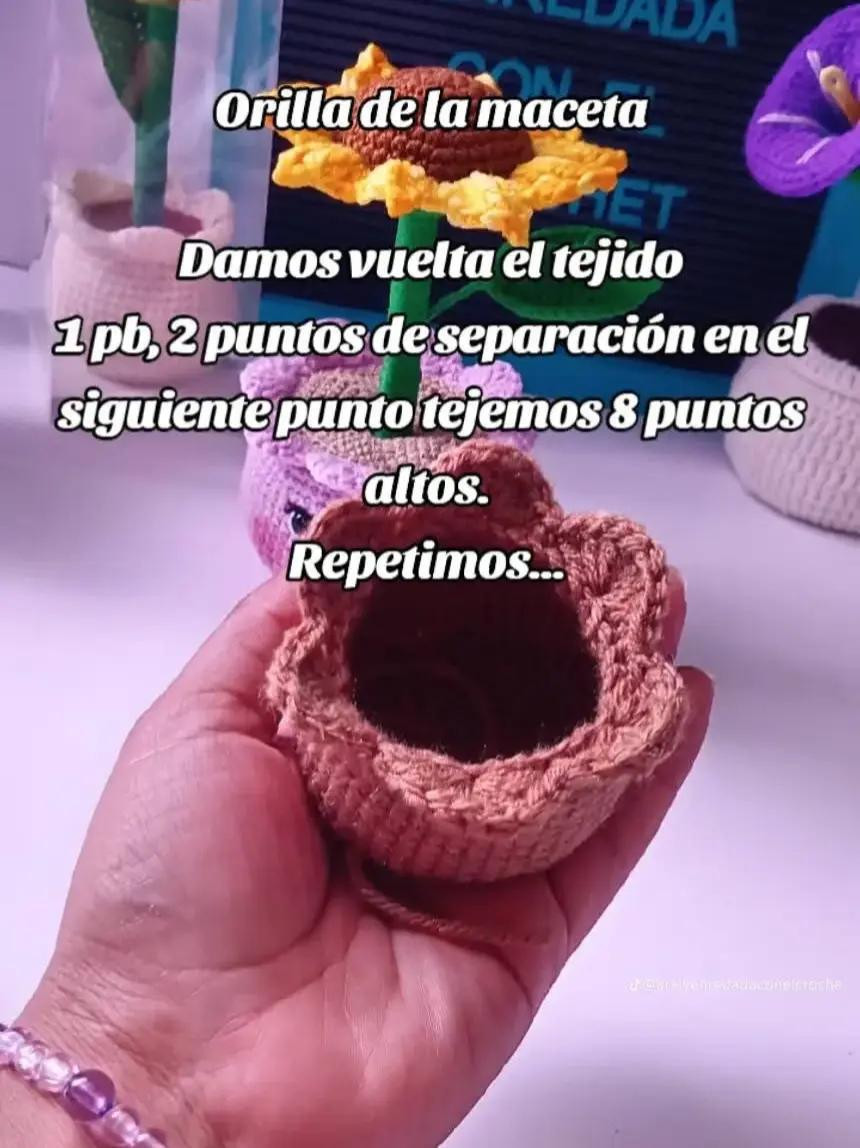 Patrón de crochet para maceta con flor colorida y vibrante