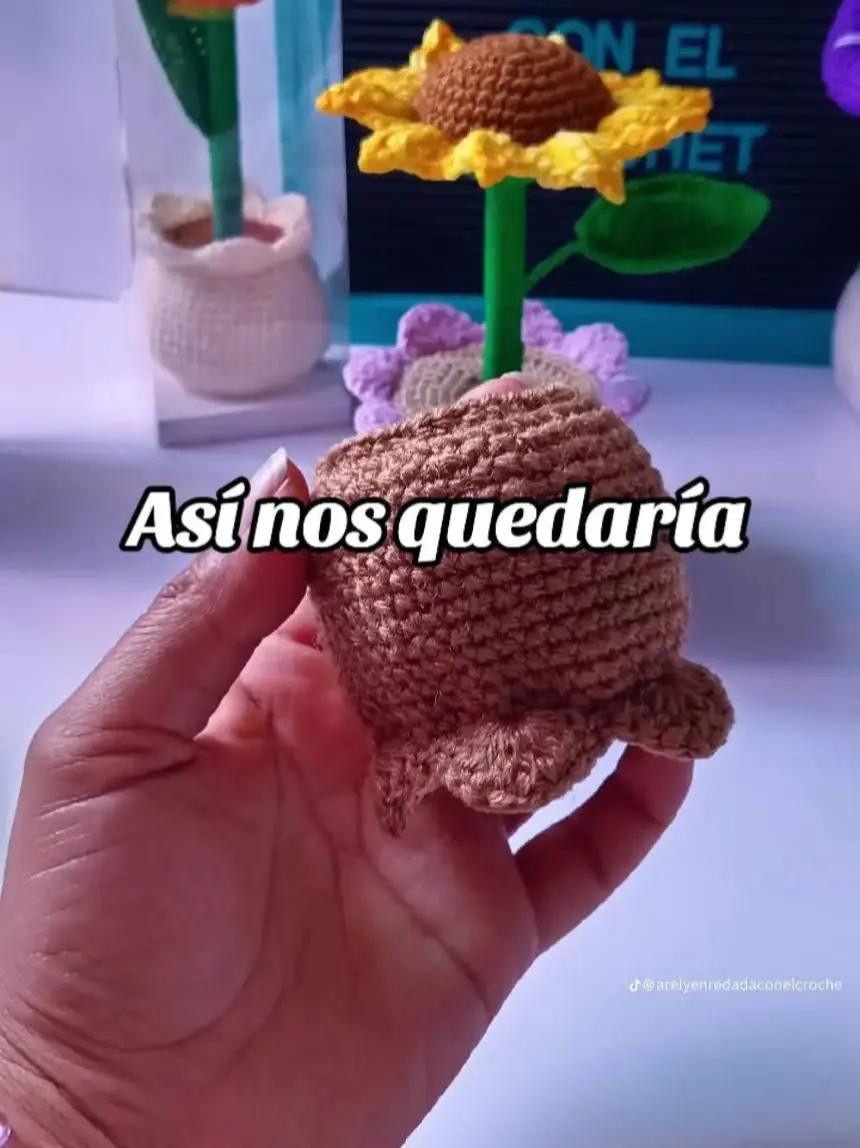 Patrón de crochet para maceta con flor colorida y vibrante
