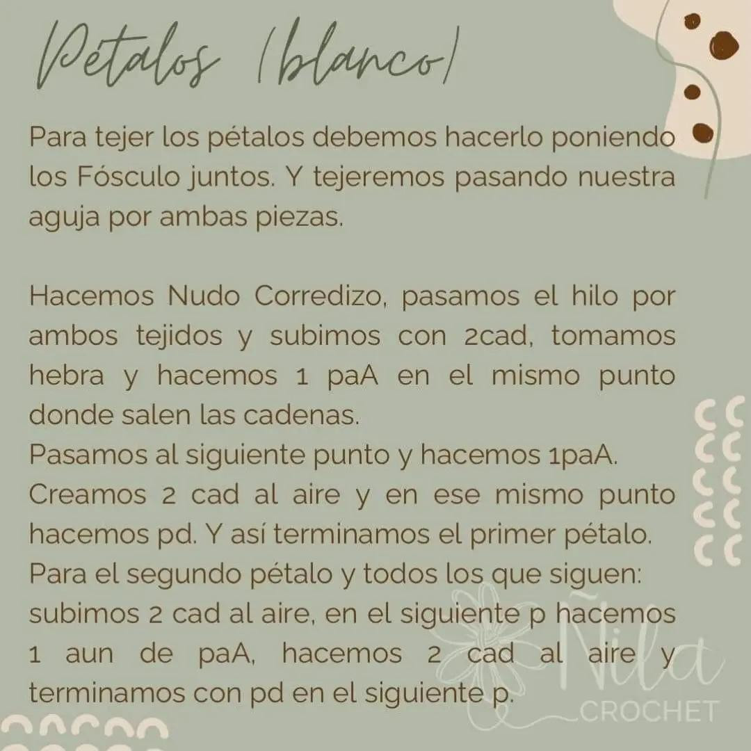 Patrón de ganchillo gratuito para margarita a crochet fácil y rápido