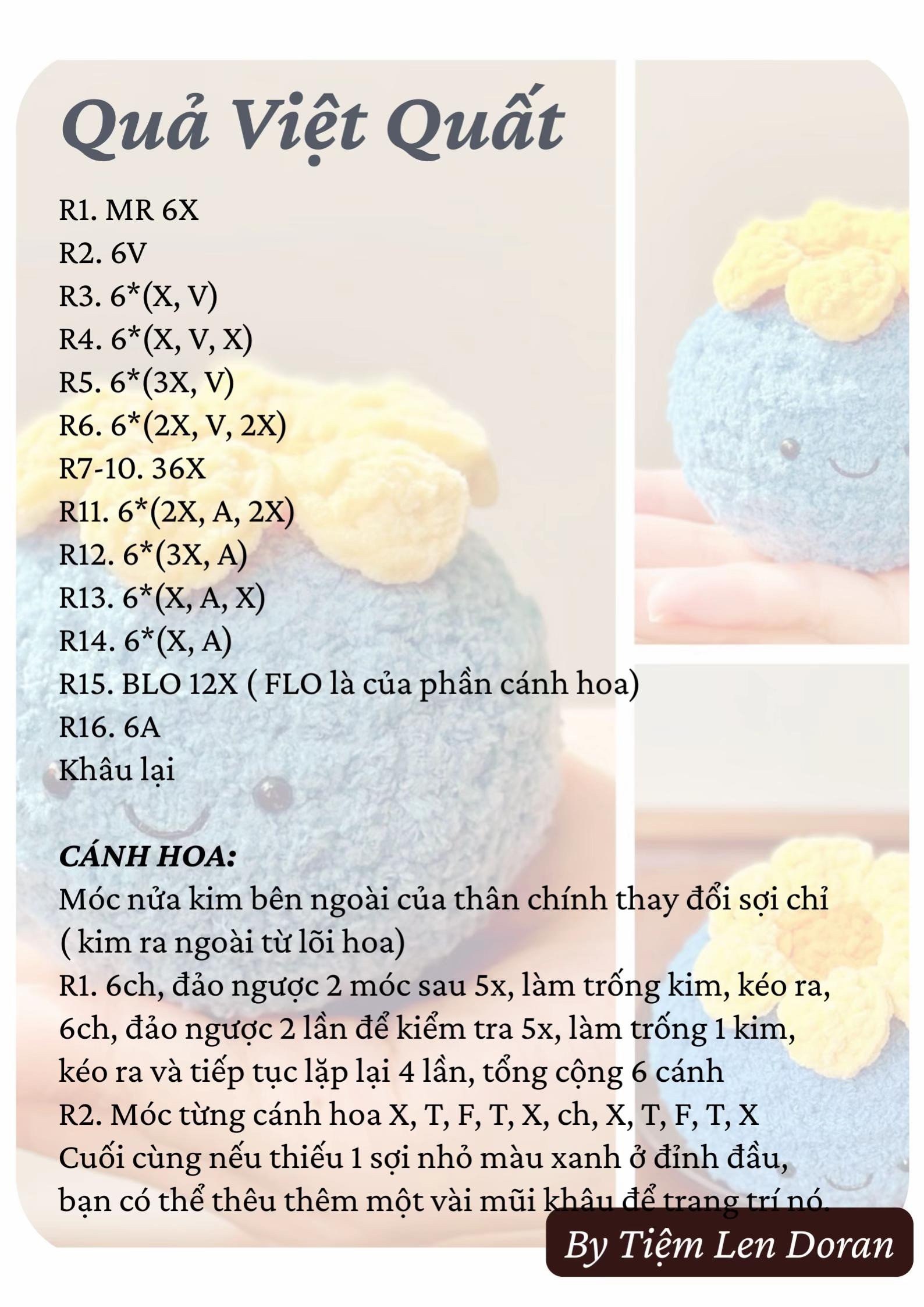 Quả việt quất