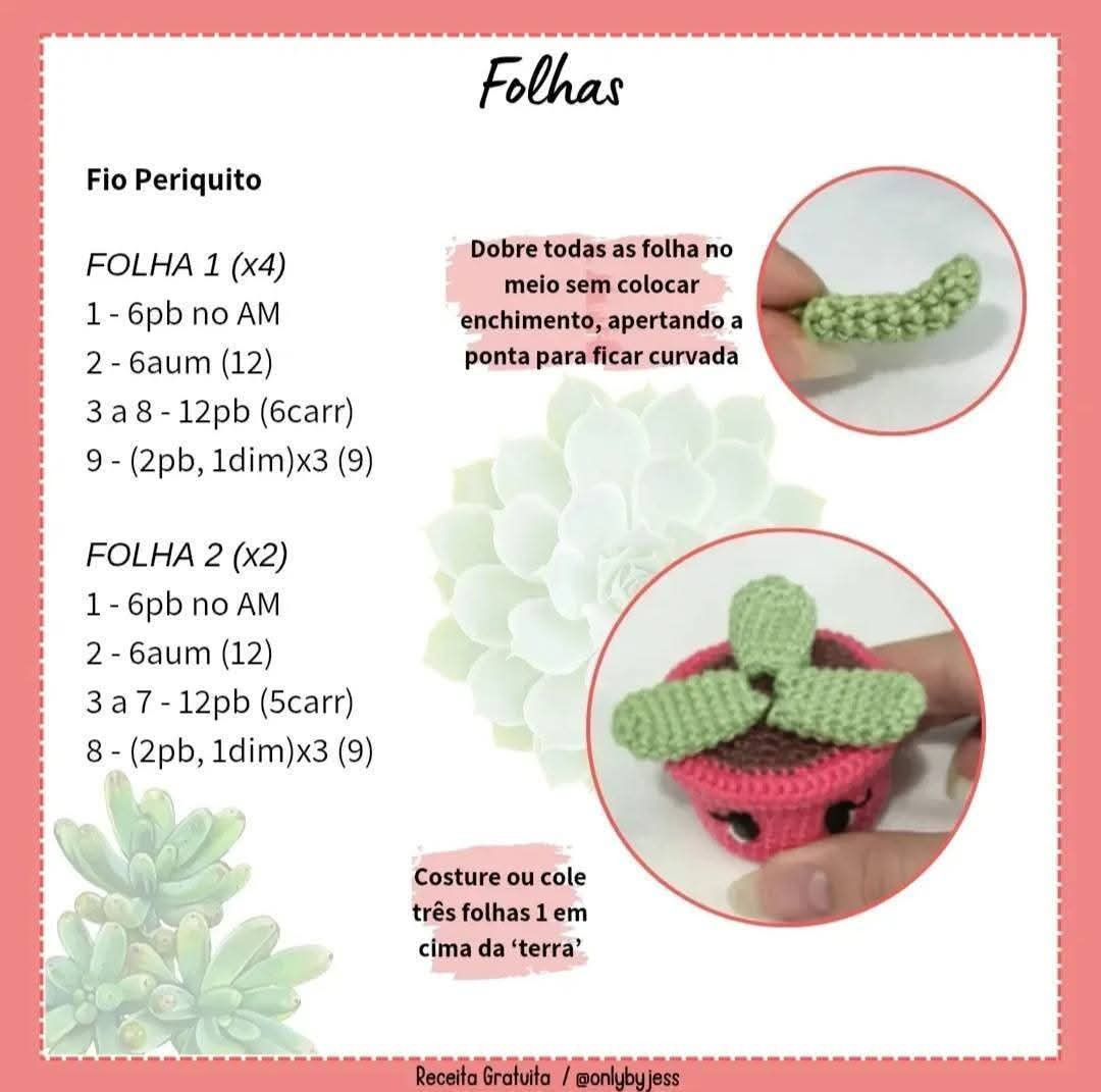 Receita de Crochê Grátis: Suzy, a Suculenta Fofa para Decorar!