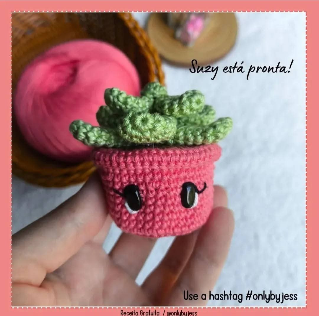 Receita de Crochê Grátis: Suzy, a Suculenta Fofa para Decorar!