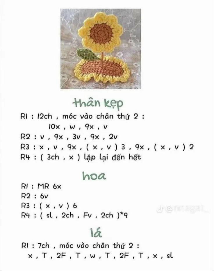 Tổng hợp chart móc kẹp tóc