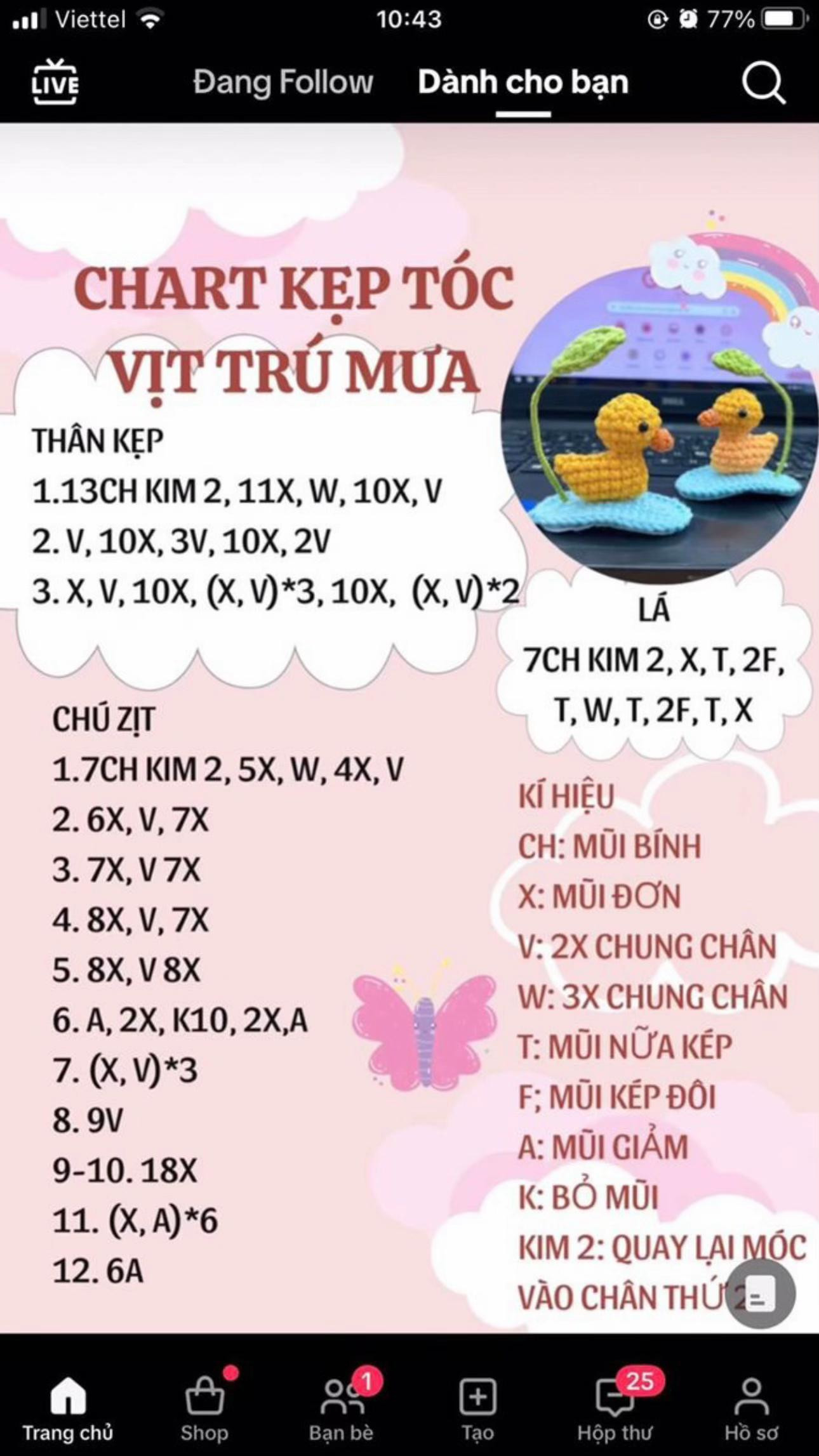 Tổng hợp chart móc kẹp tóc