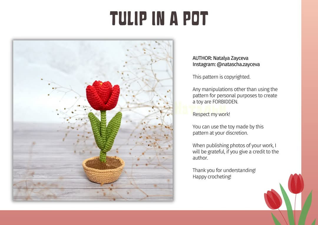 tulip in a pot
