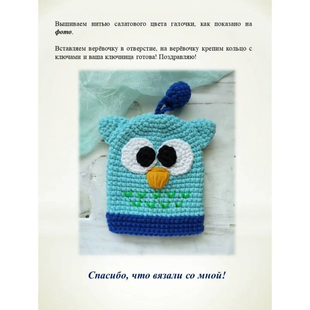 Вязаный чехол для ключа в форме совы: схема и описание