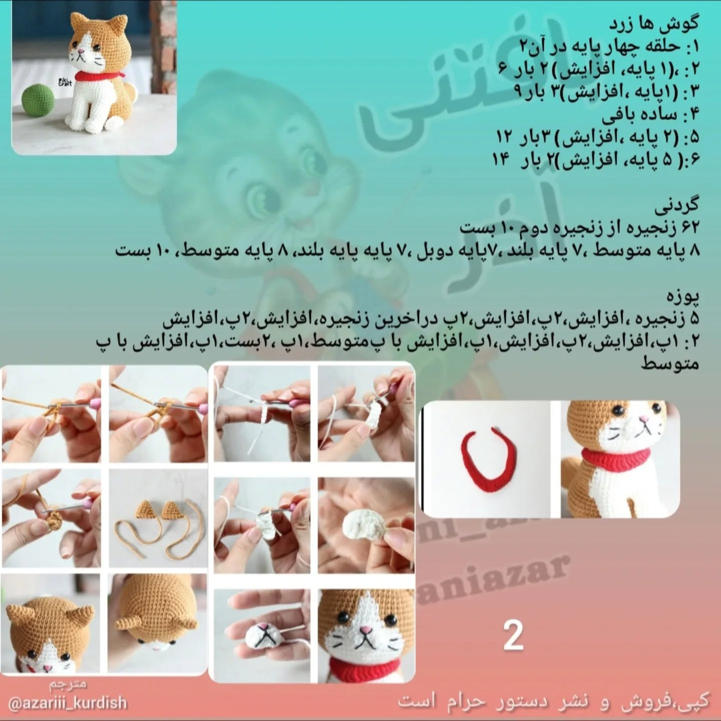 آموزش بافت گربه