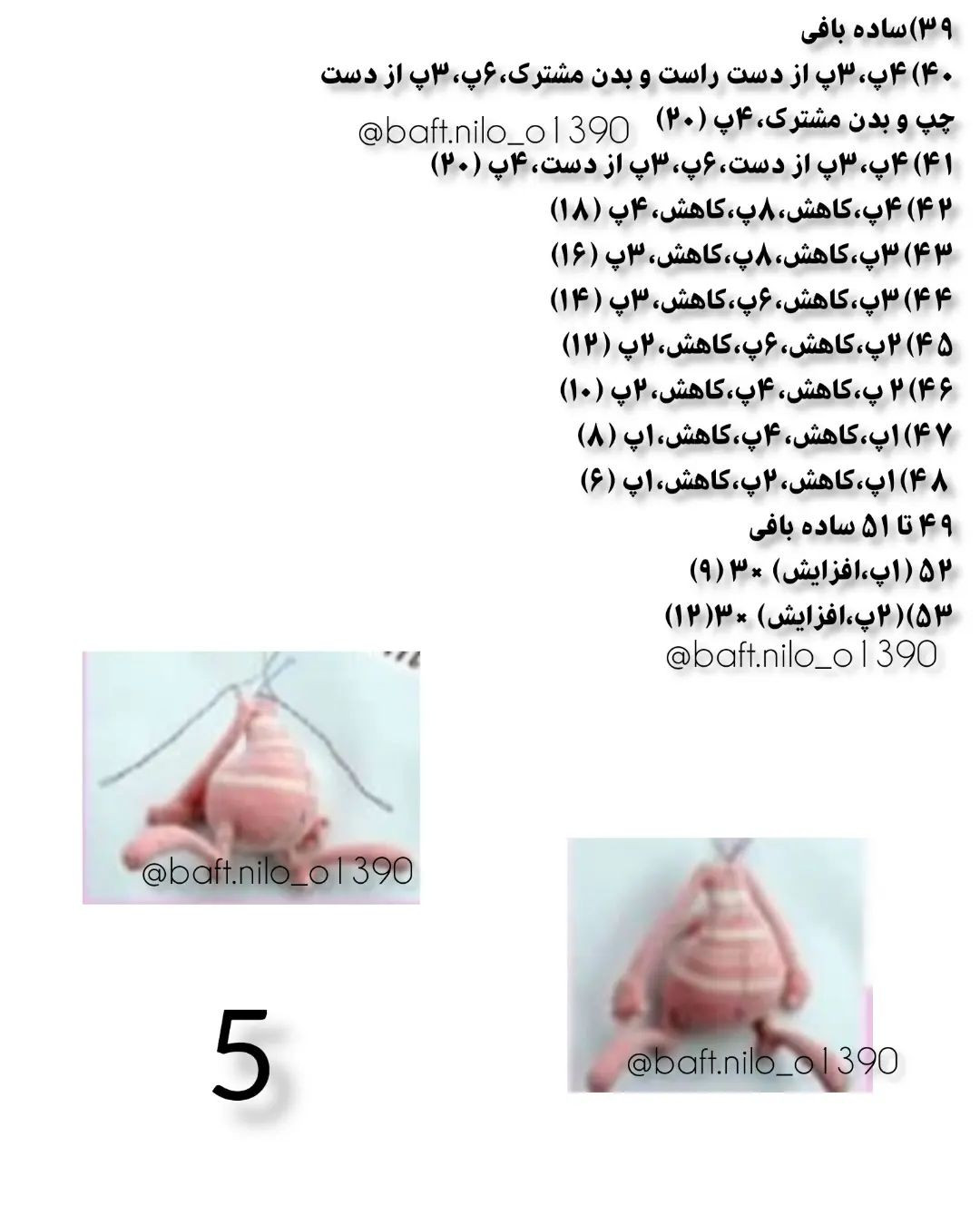 آموزش خرگوش مورچه نما