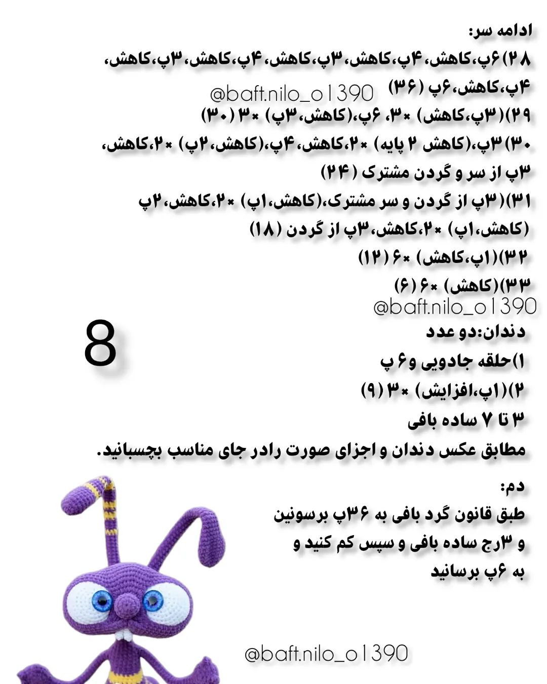 آموزش خرگوش مورچه نما