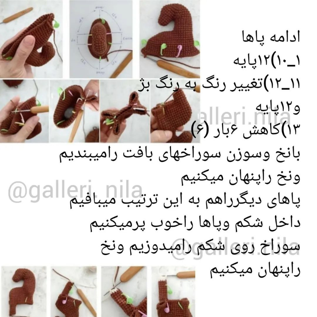 آموزش رایگان اسب زیبا
