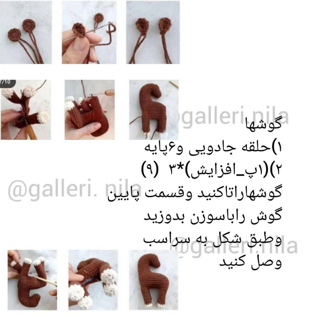 آموزش رایگان اسب زیبا