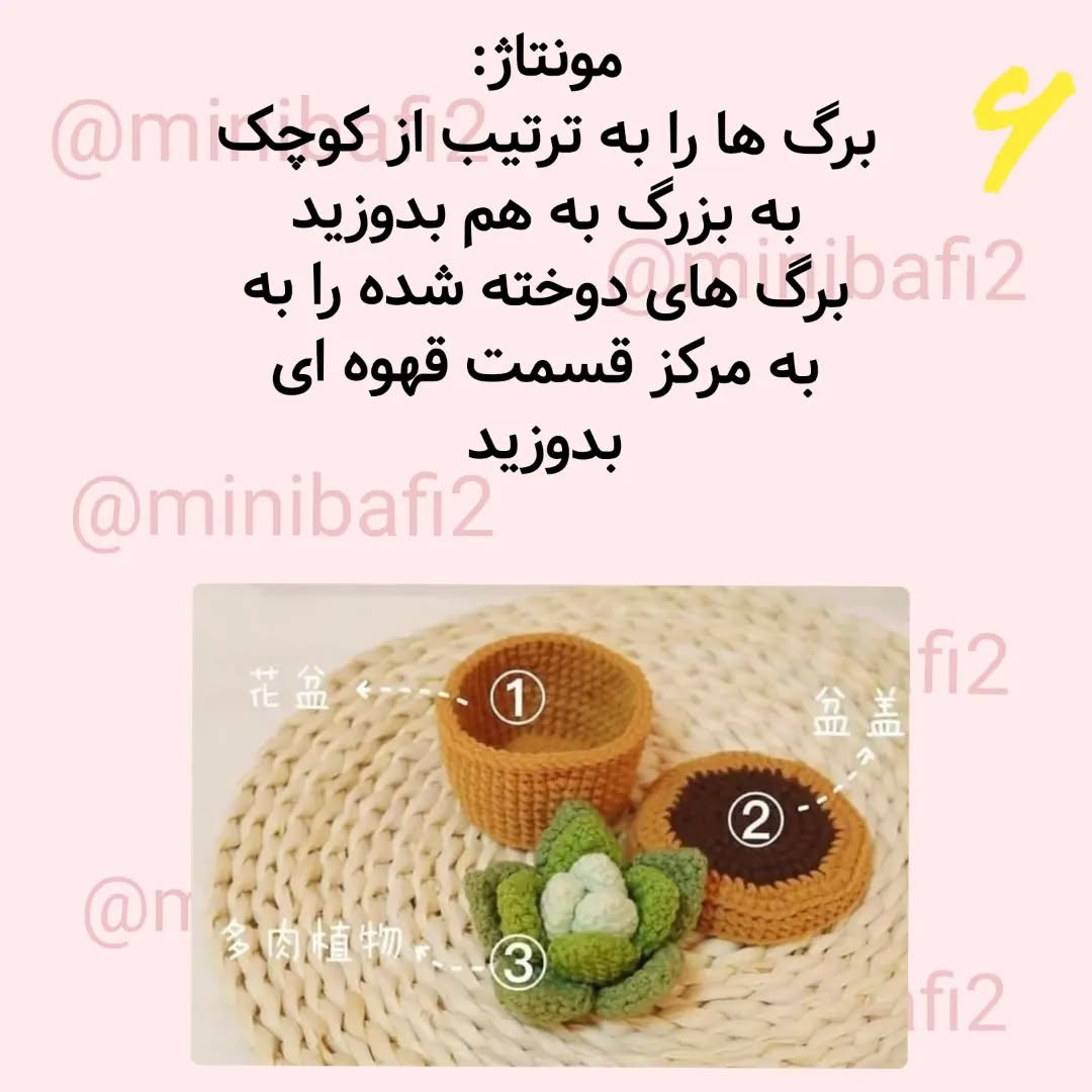 آموزش رایگان بافت گلدان کاکتوس قلاب‌بافی