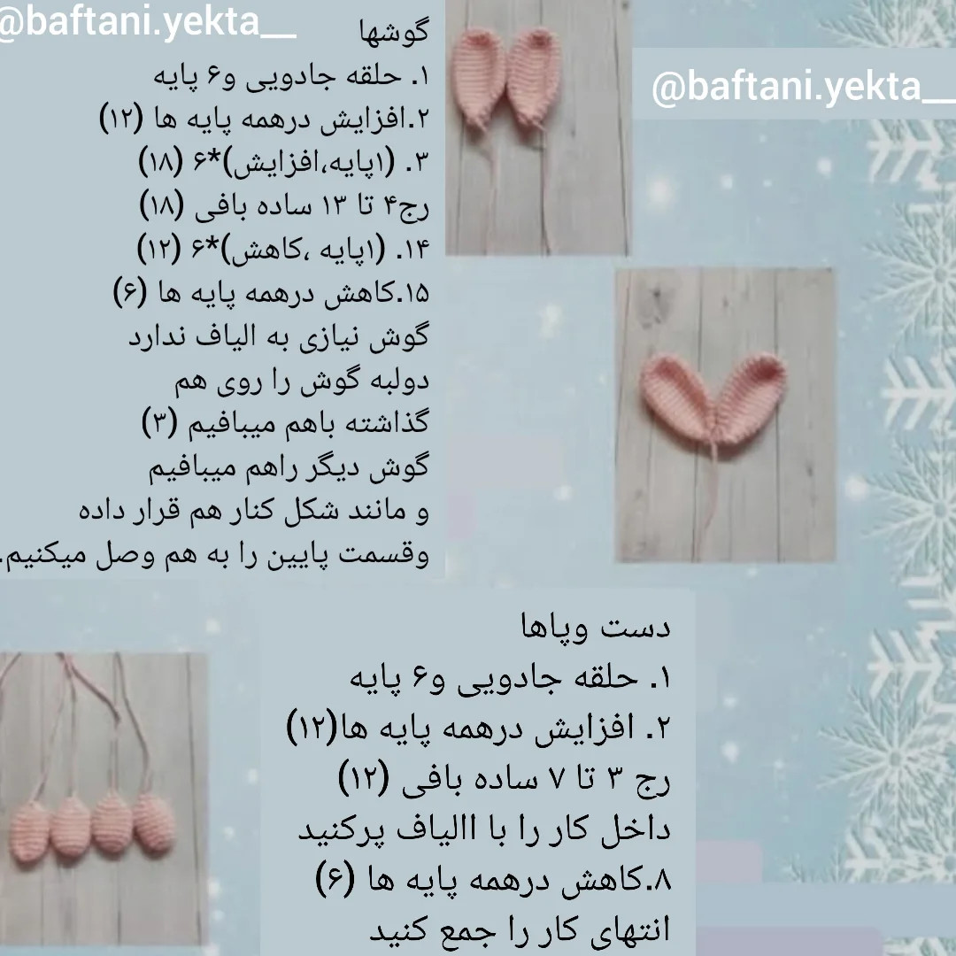 آموزش رایگان خرگوش کپل