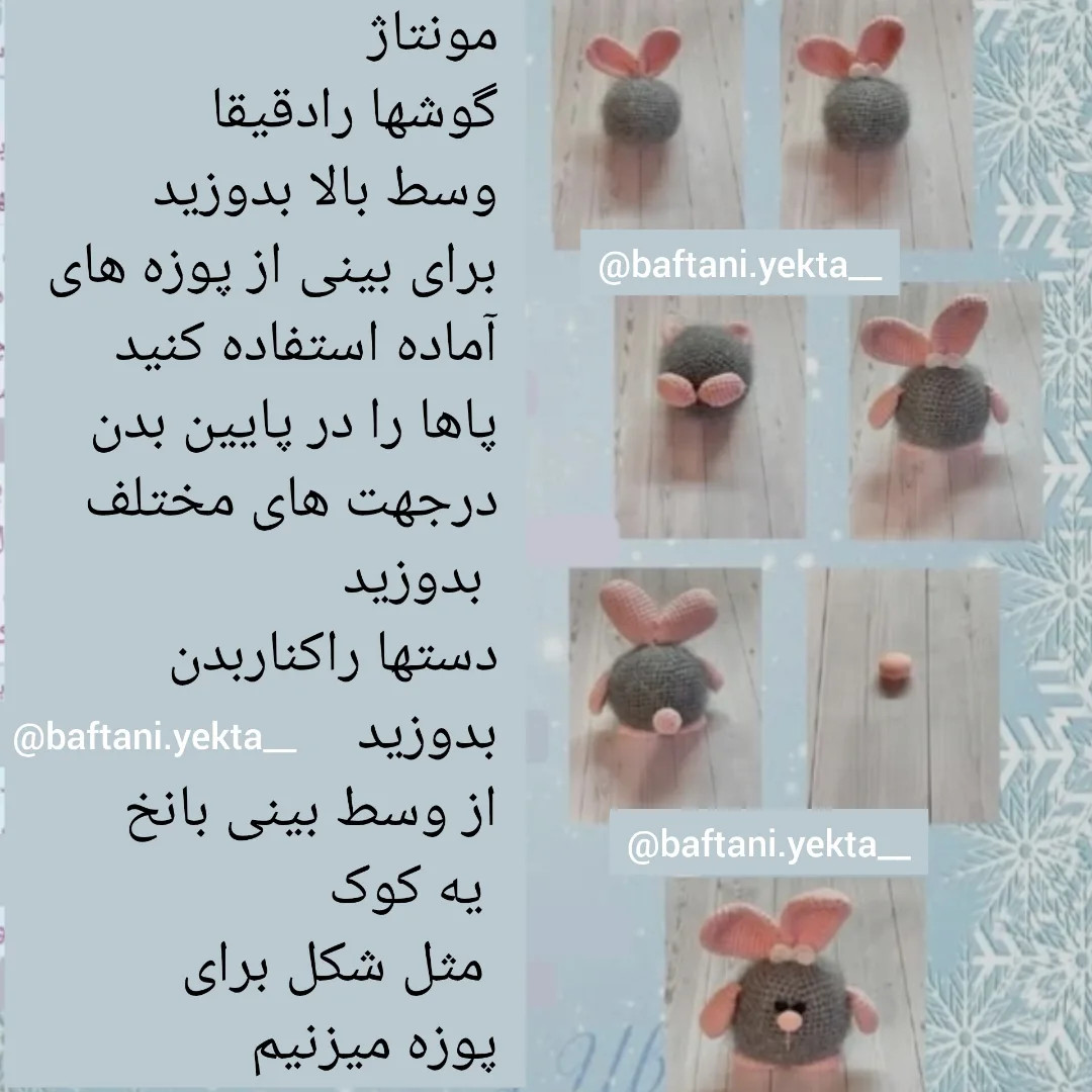 آموزش رایگان خرگوش کپل