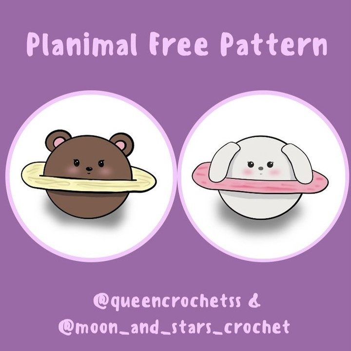Adorable Planet Animal Crochet Pattern for Beginners