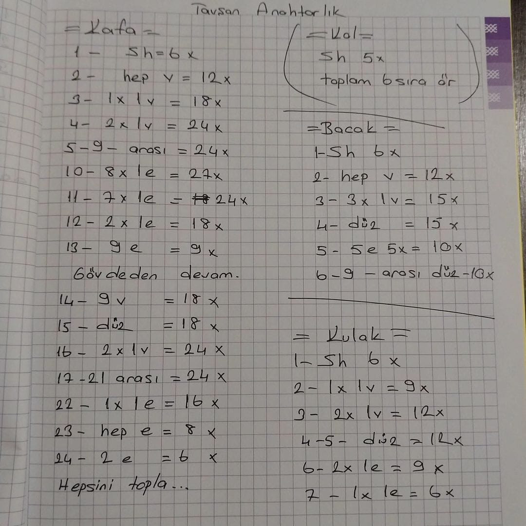 "Amigurumi Tavşan: Adım Adım Örgü Rehberi"