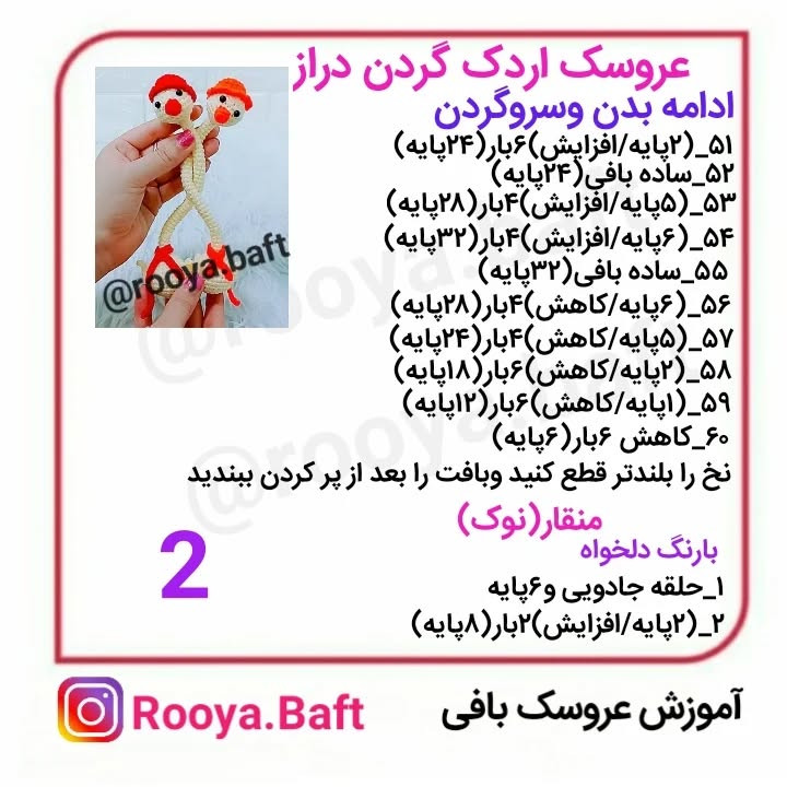 اردک گردن دراز