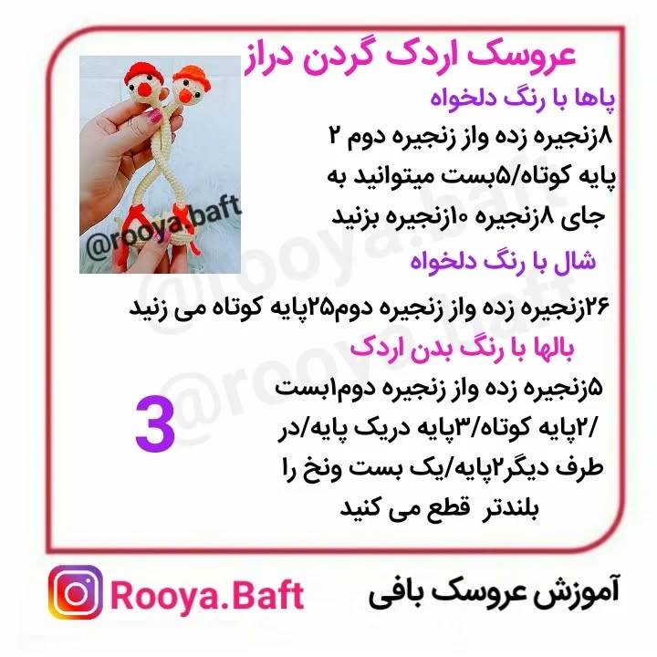 اردک گردن دراز