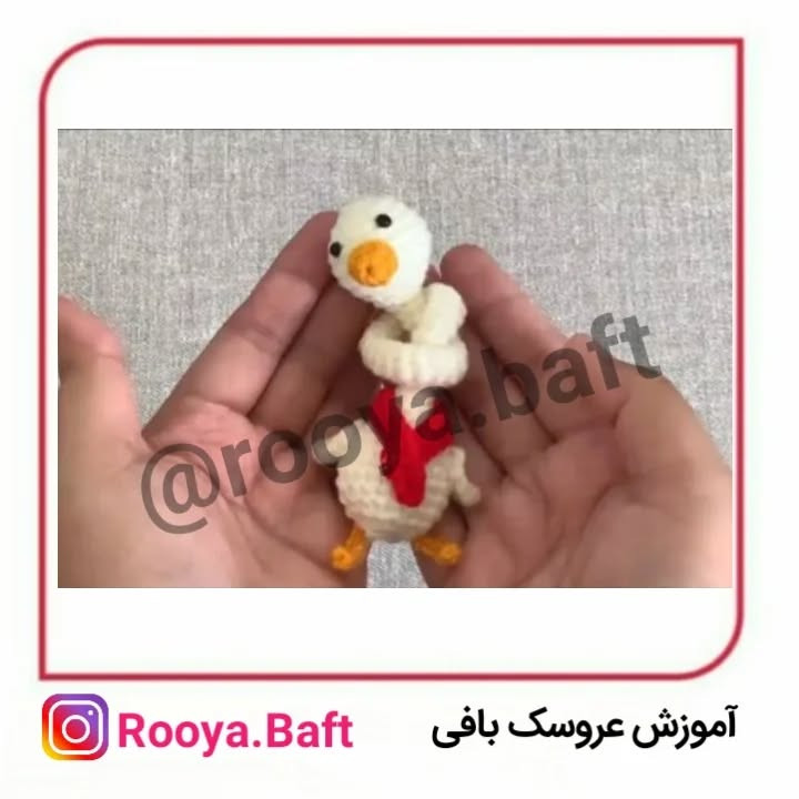 اردک گردن دراز