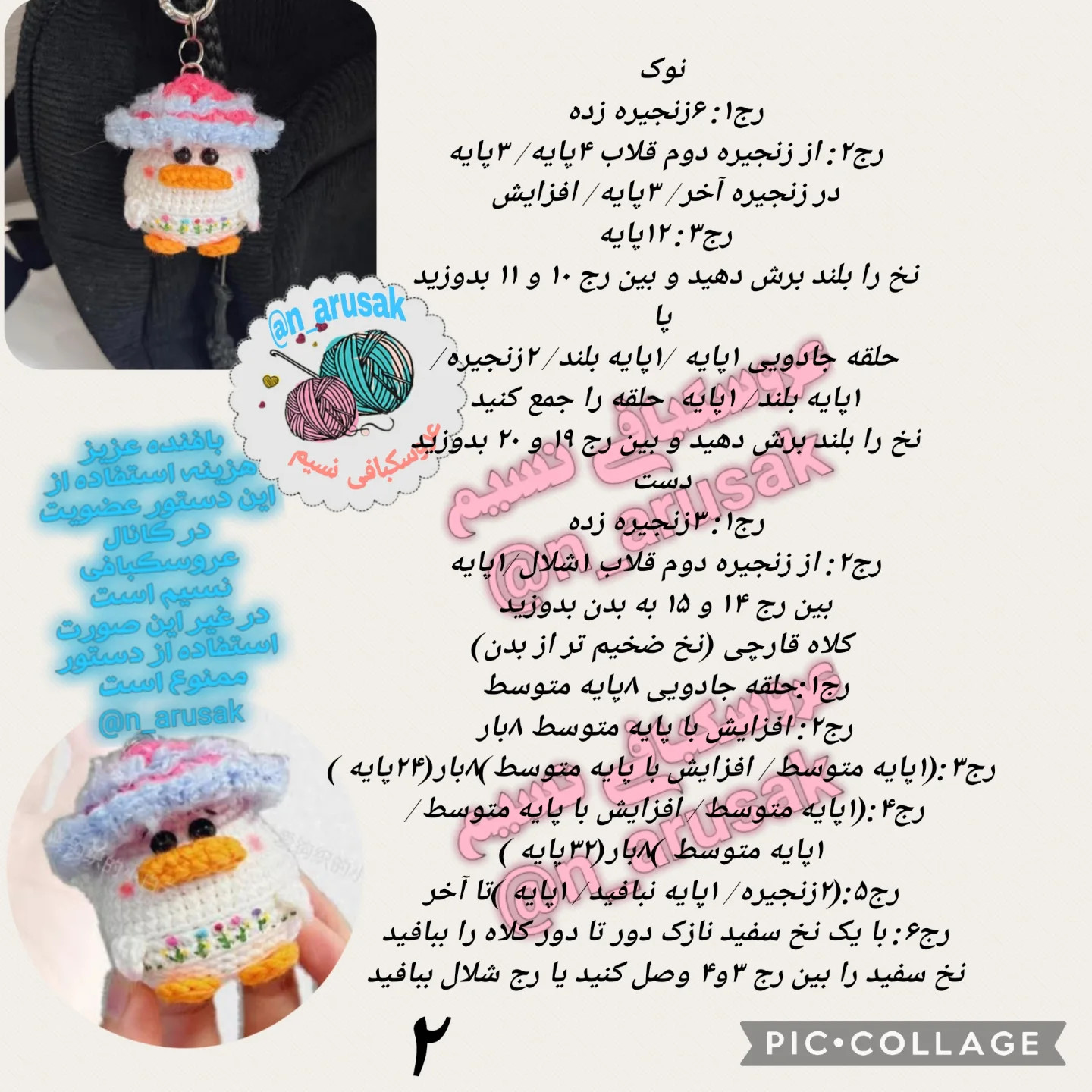 ارک با کلاه قاریچی