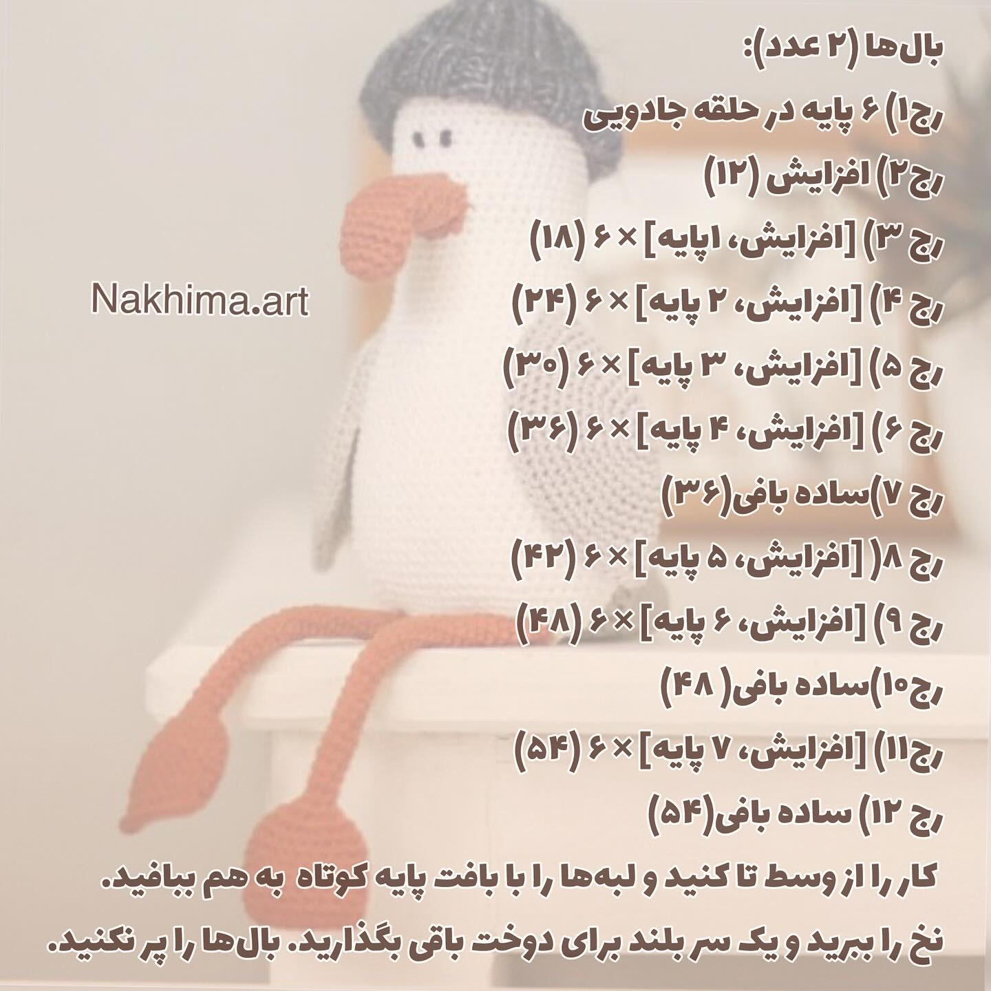 بافت جاناتان مرغ دریایی