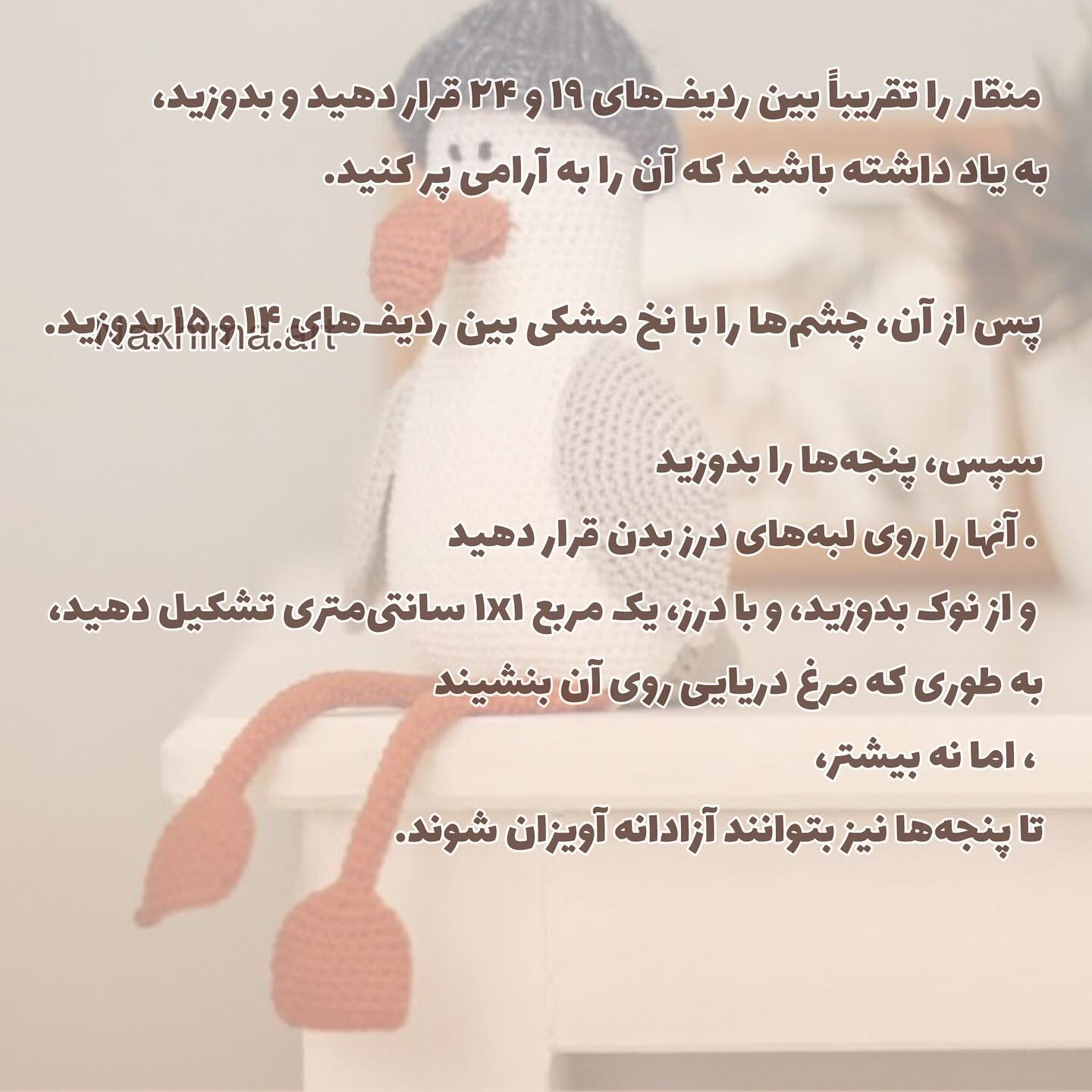 بافت جاناتان مرغ دریایی