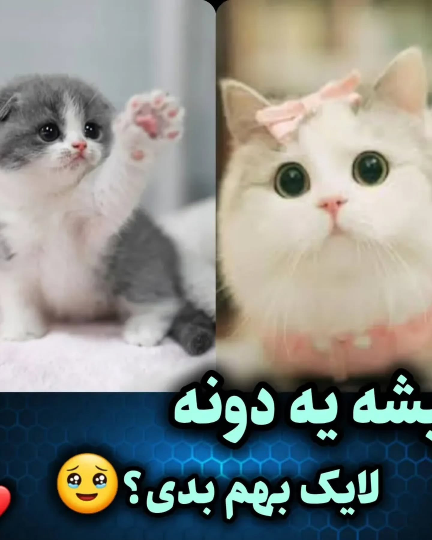 بافتنی عروسک‌های پنگوئن دوست‌داشتنی