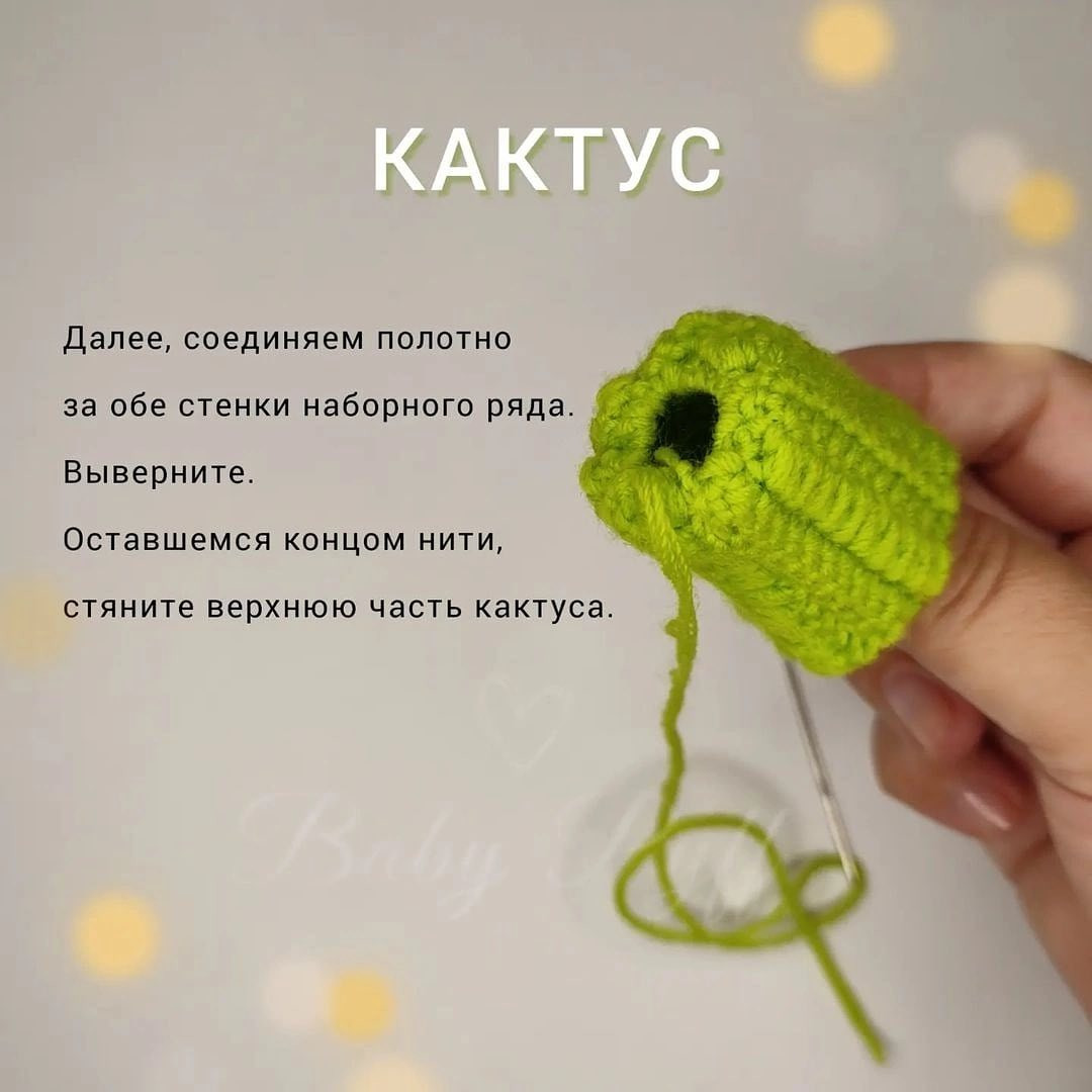 Бесплатная схема вязания кактуса с цветком