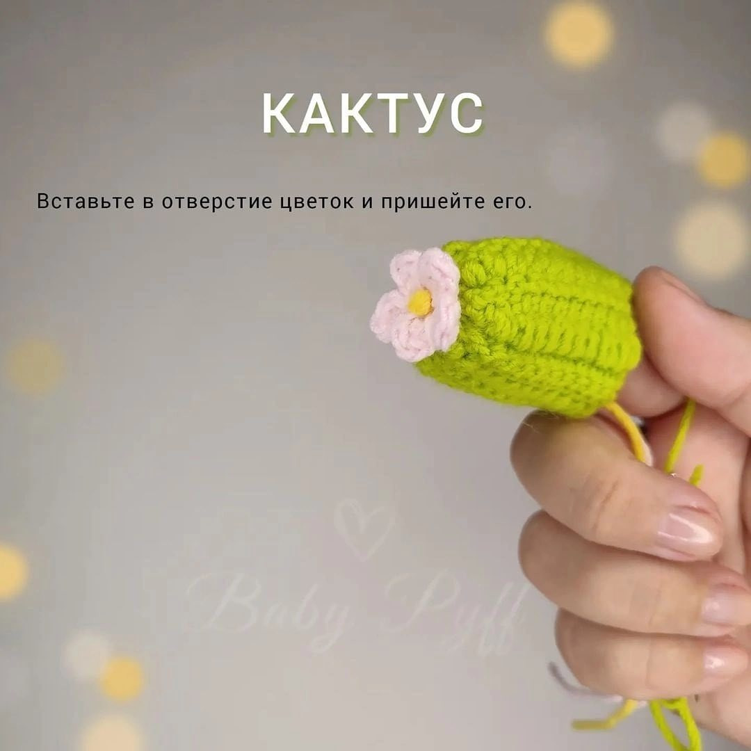 Бесплатная схема вязания кактуса с цветком