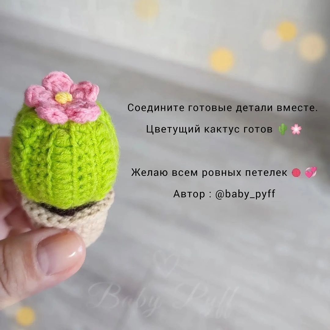 Бесплатная схема вязания кактуса с цветком