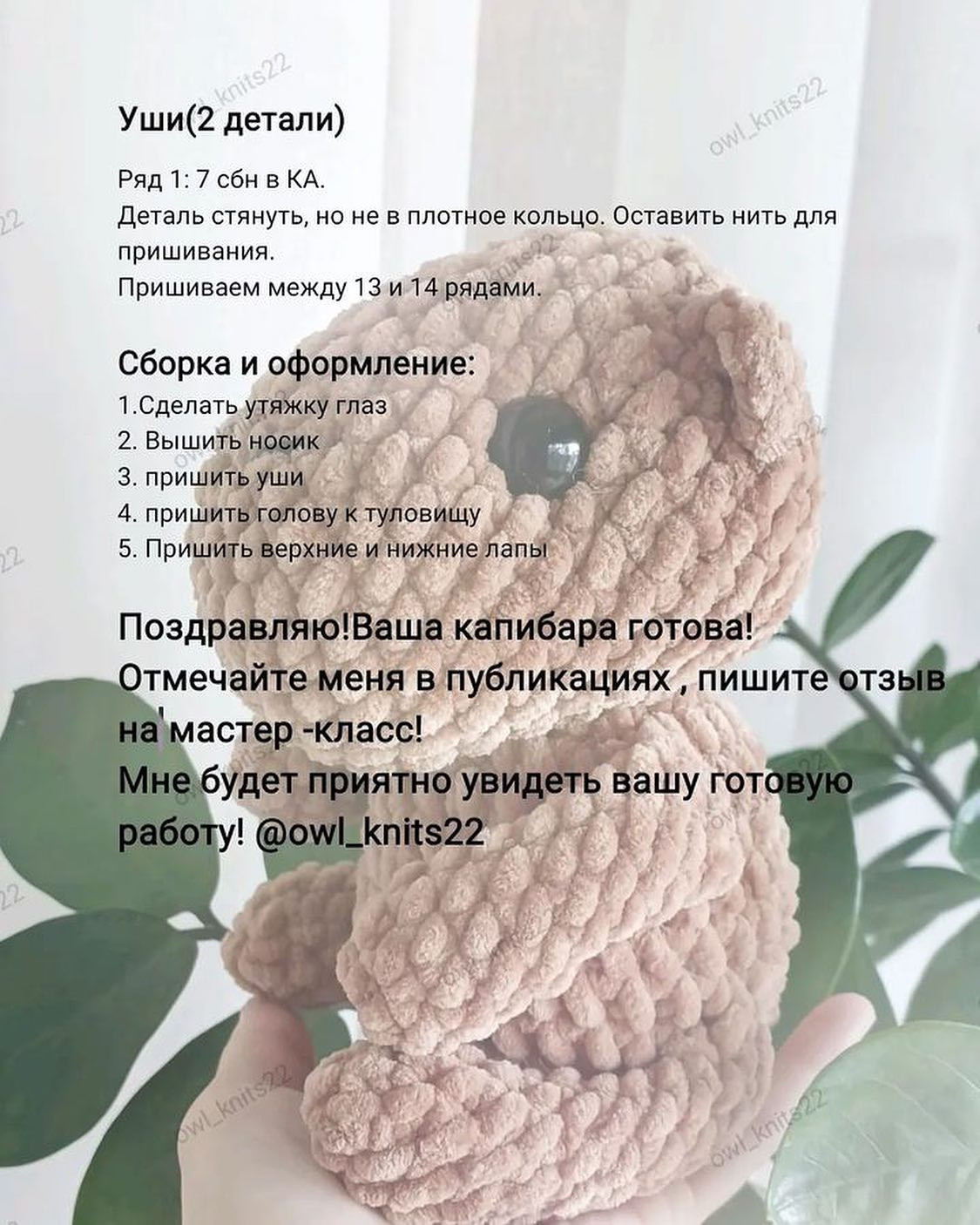 Безкоштовний майстер-клас: як зв'язати капібару гачком