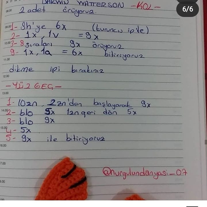 Darwin Tarifi: Sevimli Amigurumi Oyuncak Yapımı