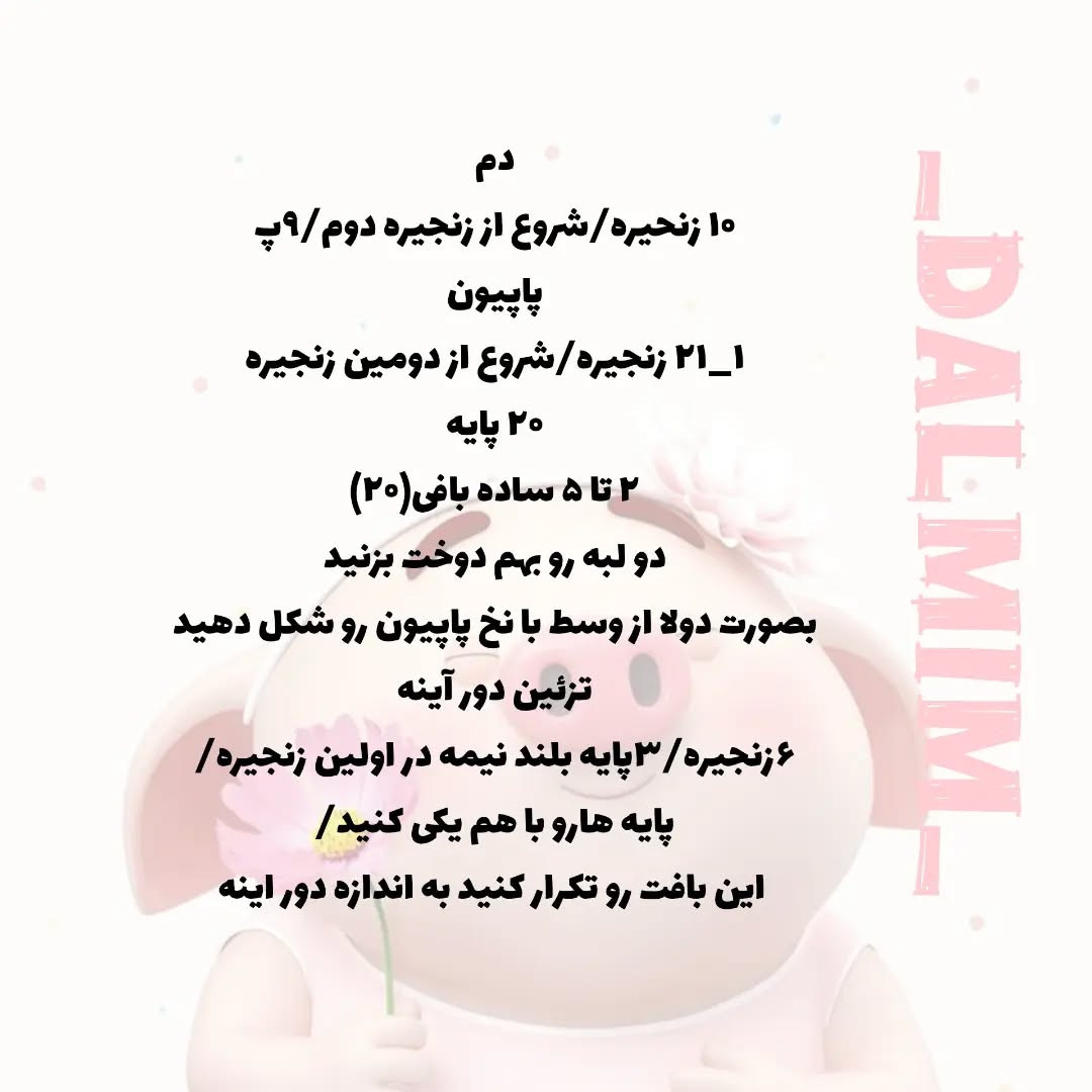 دستور بافت آینه خوک