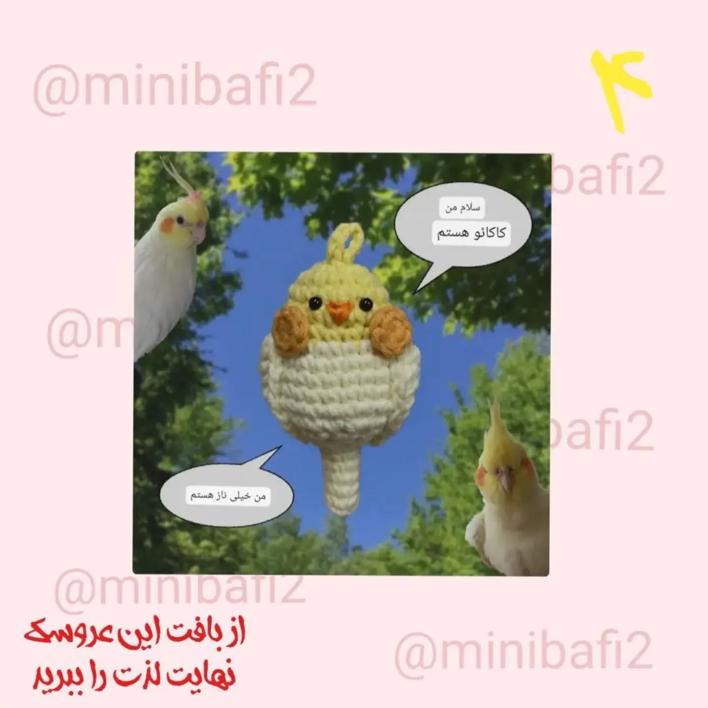 دستور بافت عروس هلندی