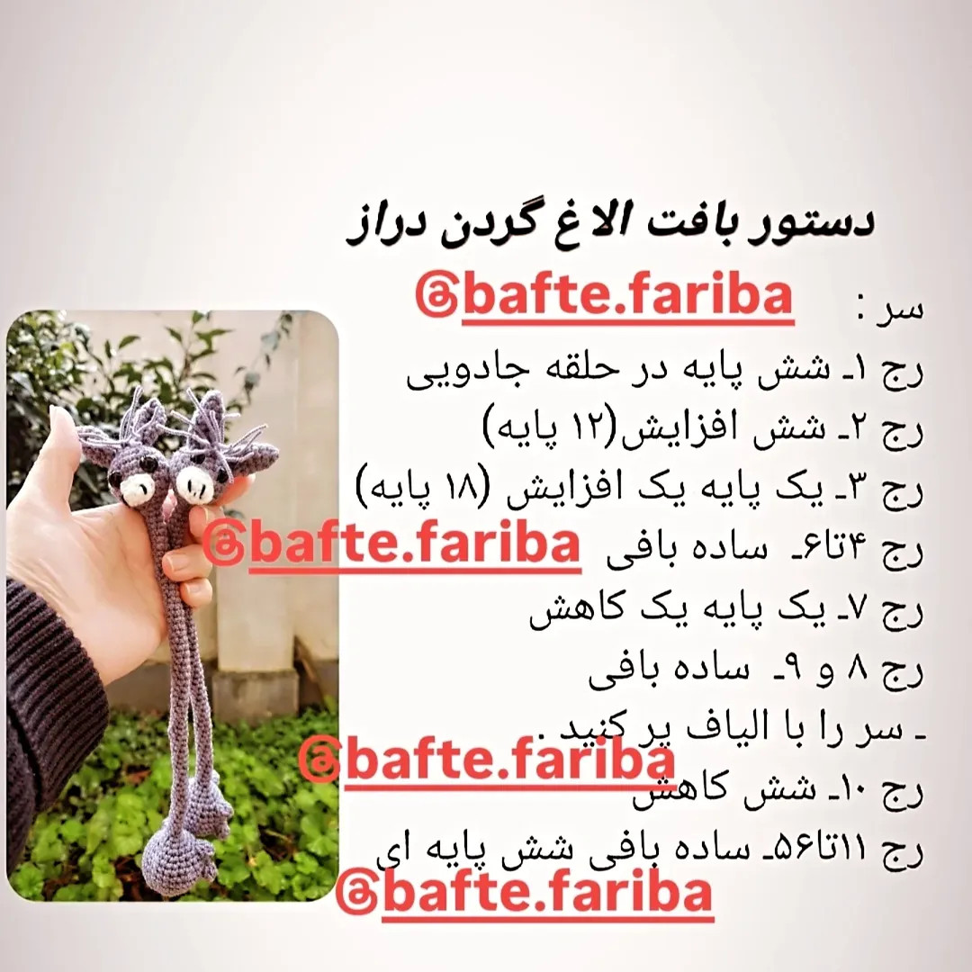 دستور بافت الاغ گردن دراز