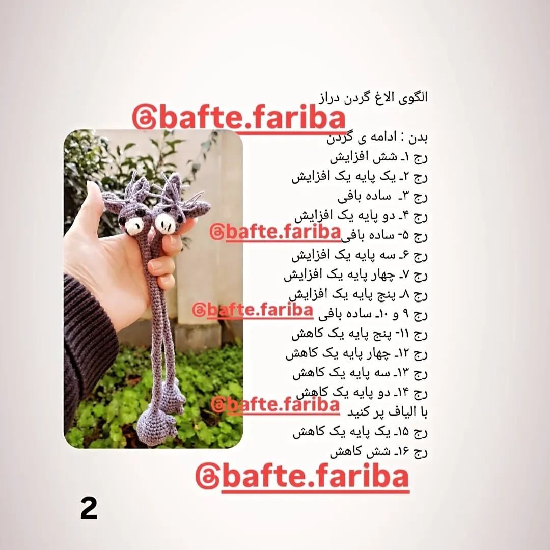 دستور بافت الاغ گردن دراز