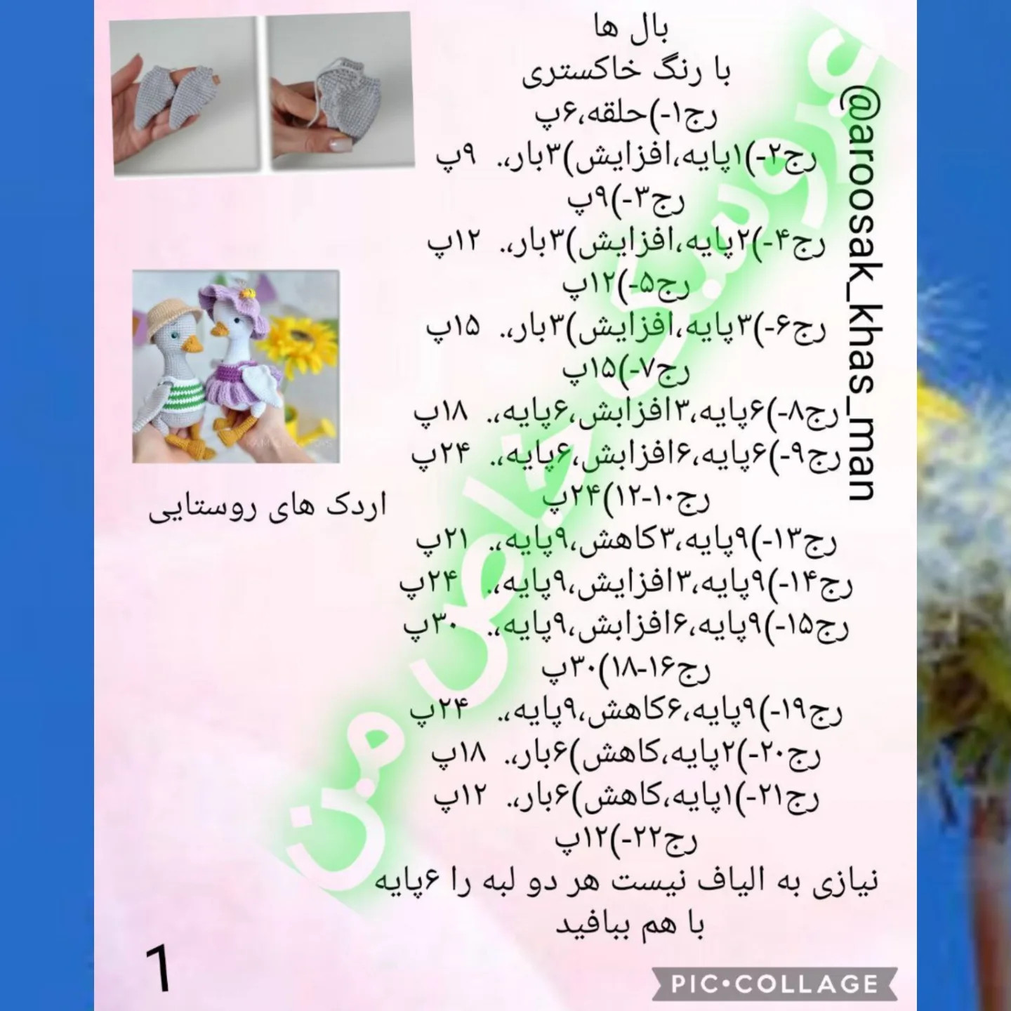 دستور بافت اردک عاشقانه
