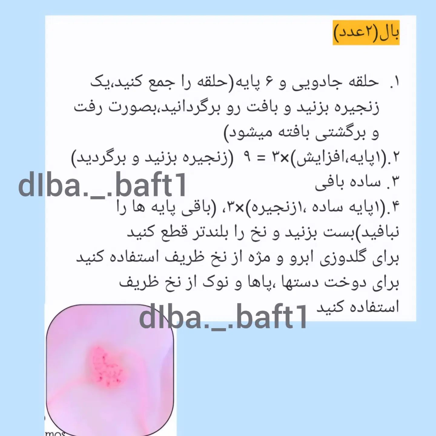 دستور بافت جغد فارغ التحصیل