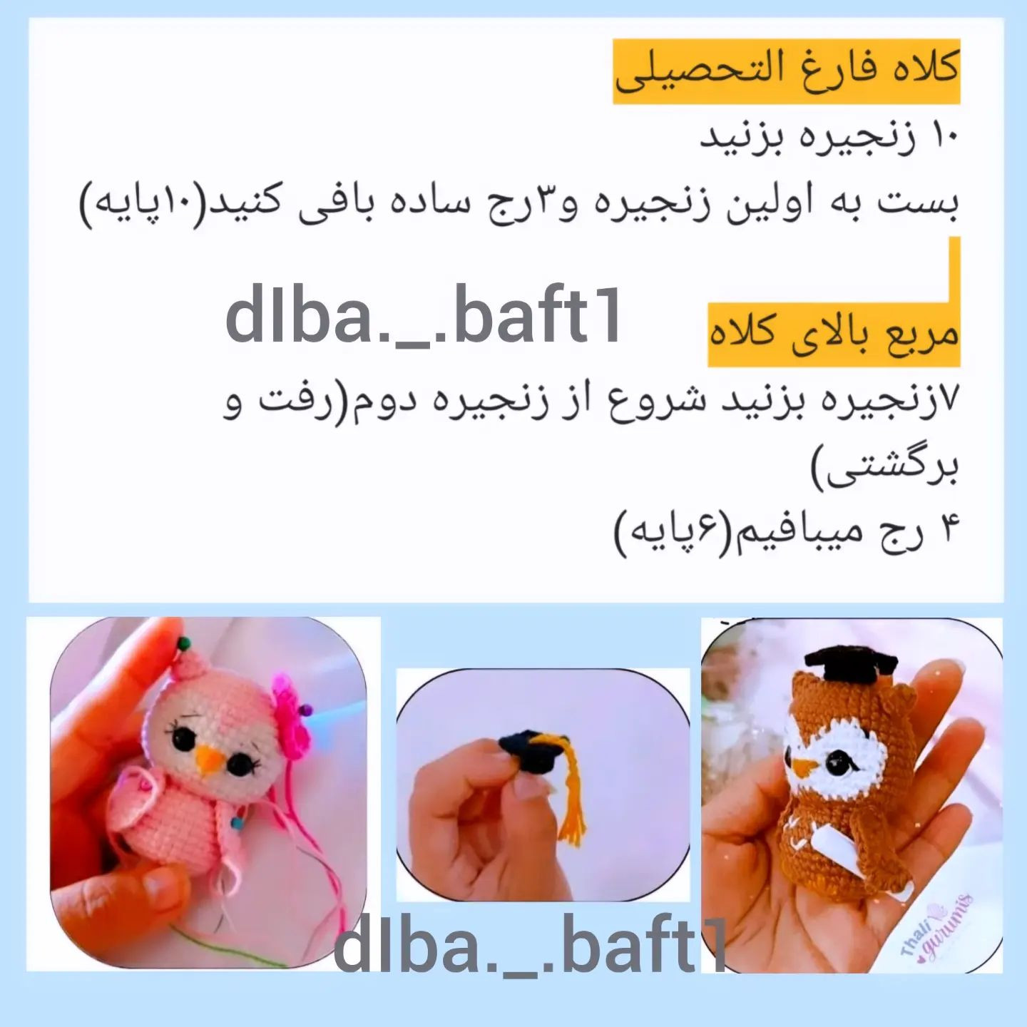 دستور بافت جغد فارغ التحصیل